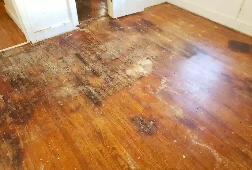 Damaged floors