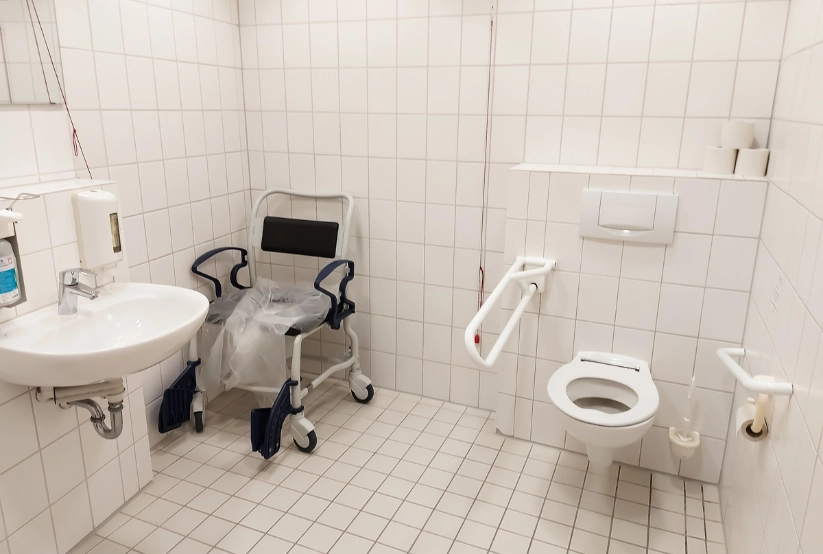 Disabled-Friendly-Toilets