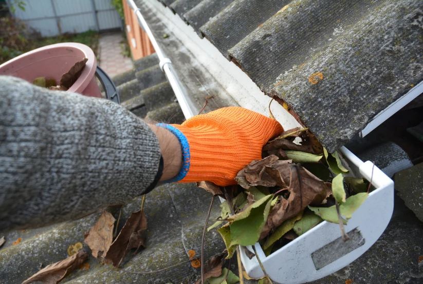 gutter-cleaning-service